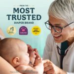 large_13b31133-7c20-4c32-a12f-fcf65bc4b0f2-88378d89e1
