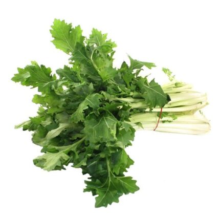 large_3defcb3b-1041-4ce9-9f42-5adb3f0dfb22-1916702a34