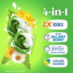 large_556ec96c-a233-46f1-ad41-08bcd95c0ad1-65da5d6556
