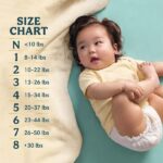 large_5b5678a4-0e68-4b16-b268-e45bcbf7f6f9-4355bfd656