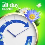 large_6a63300b-0ad9-4727-a675-7fab1e32e3f1-c098abbc9f