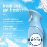 large_7532f32c-03fb-4568-8121-02ba41252868-212cb6b346