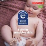large_80a7f167-4724-4fda-aefe-3f6d3bc7f1bc-e947011fca