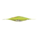 large_9c0ca011-9eee-49db-a0b9-9f5ab114ca4e-2d4e450f21