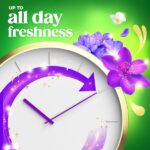 large_dd4f6c12-6b23-4b26-8bd0-8feb4b81c158-a76e00e995