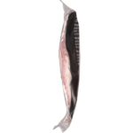 large_ed62ecdc-3096-48bf-bd59-bc5981f3794e-4e8161e239