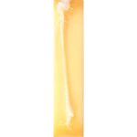 large_efe03929-b099-414e-9de0-f018c3e70e53-035c264af2